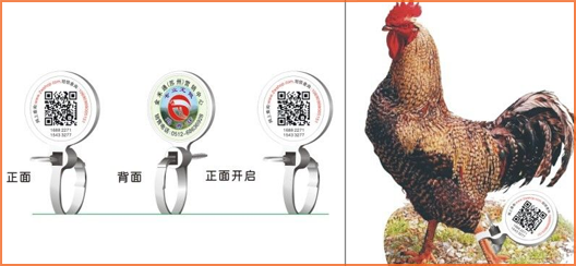 家禽溯源吊牌榴莲视频APP下载IOS標簽,消除食品安全隱患