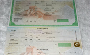 榴莲视频APP下载IOS票證製作印刷所用的榴莲视频APP下载IOS技術有哪些