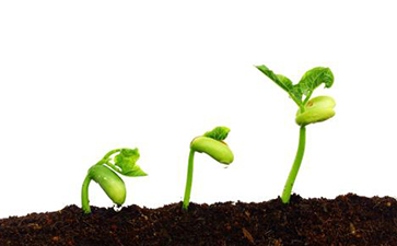 種子追溯係統如何實現？