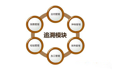 區塊鏈榴莲视频APP下载IOS溯源技術解決方案